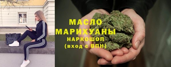 шишки Верея