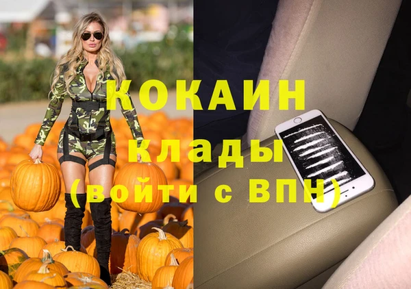 шишки Верея