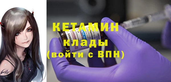 шишки Верея