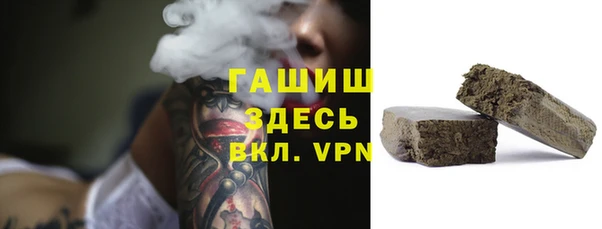 шишки Верея