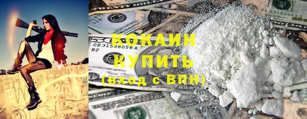 шишки Верея