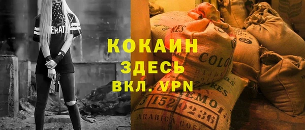 шишки Верея