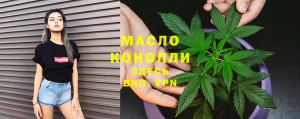 шишки Верея