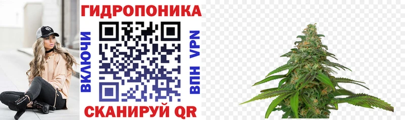 где можно купить наркотик  Сургут  Бошки Шишки White Widow 